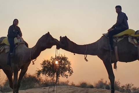 Jodhpur kamelensafari & overnachting in woestijn