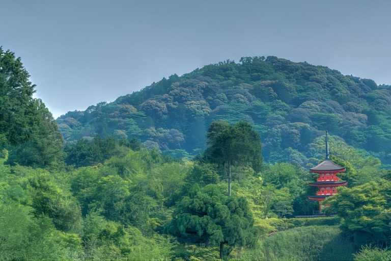 Kyoto : 10 heures de visite privée personnalisable avec transfert à l'hôtelVisite personnalisée de 10 heures avec chauffeur et guide