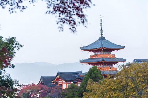 Kyoto: 10-stündige anpassbare private Tour mit Hoteltransfer10-stündige Customize Tour mit Fahrer und Guide