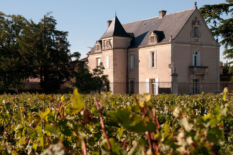 Medoc Tour: Margaux, Saint Estèphe und Gier