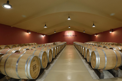 Medoc Tour : Margaux, Saint Estèphe and greediness