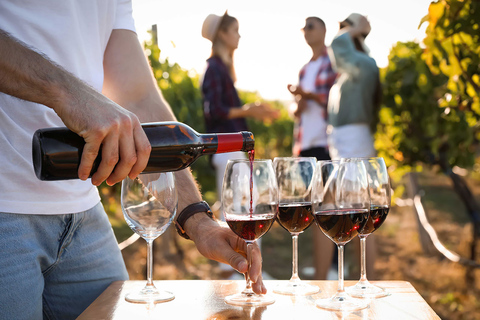 Tour du Médoc : Margaux, Saint Estèphe et gourmandise