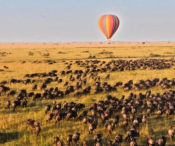 Masai mara: safari en grupo de 3 días en Jambo mara lodge