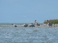 Prespa Adventure Explorer - Housity