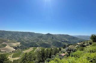Porto: Douro-Tal Tour mit 3 Weingütern & Mittagessen