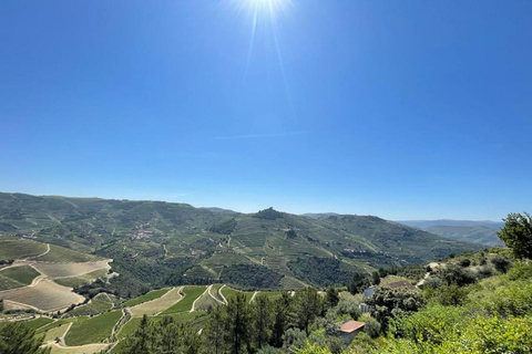 Porto: Dourovallei-ervaring met 3 wijnhuizen en lunchDouro Valley Tour: 3 wijngaarden allemaal inbegrepen