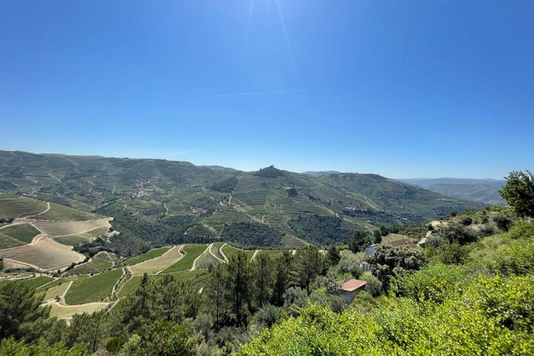 Porto: Dourovallei-ervaring met 3 wijnhuizen en lunchDouro Valley Tour: 3 wijngaarden allemaal inbegrepen