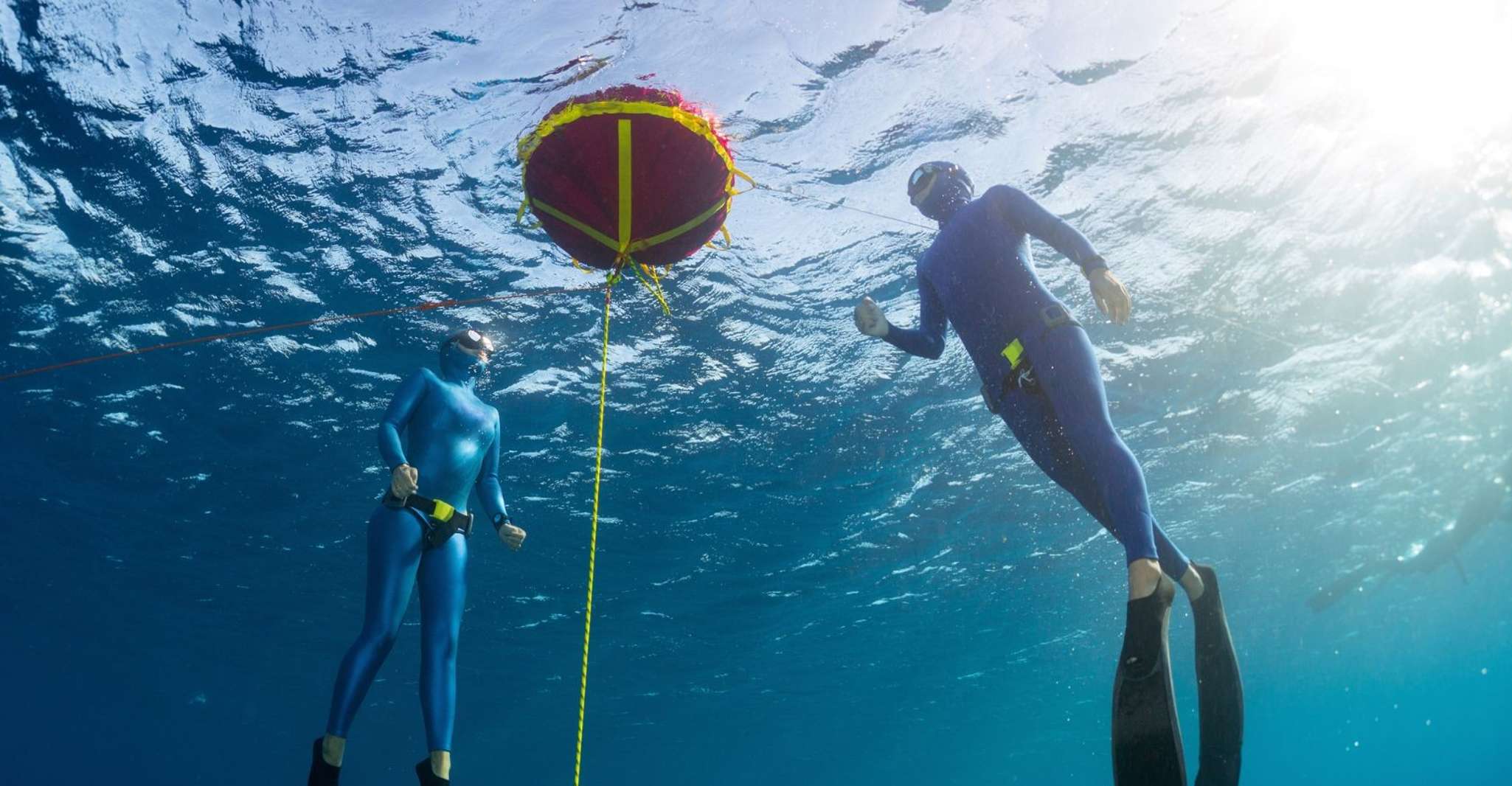 Try Freediving experience in Arrábida Marine Reserve - Housity