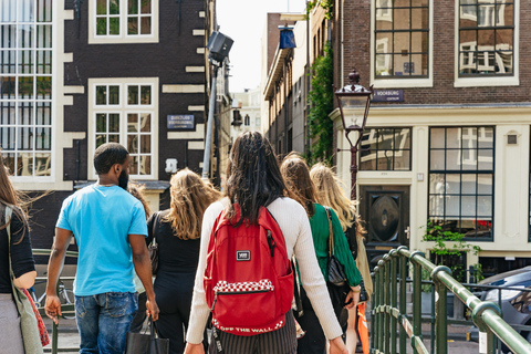 Amsterdã: passeio a pé, museu judaico e ingressos para a sinagogaTour em Espanhol