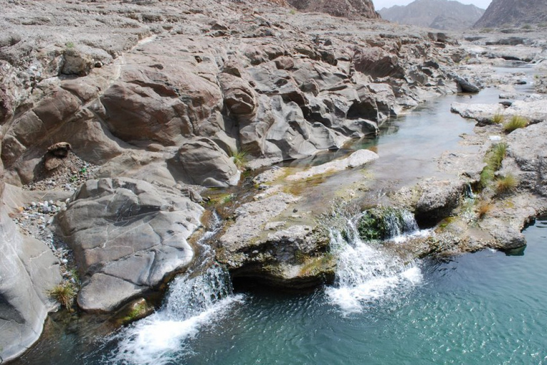 Wadi Shab (4WD) Kusttocht