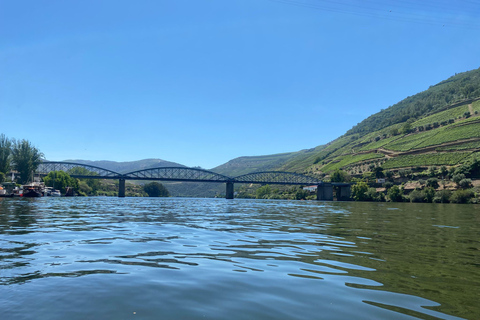 Porto: Douro Valley Private Tour 2 Vineyards &amp; River Cruise