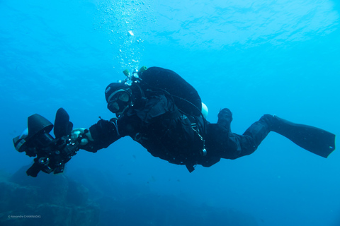 Tenerife: mergulho privado para iniciantes em um barcoexperiência de mergulho