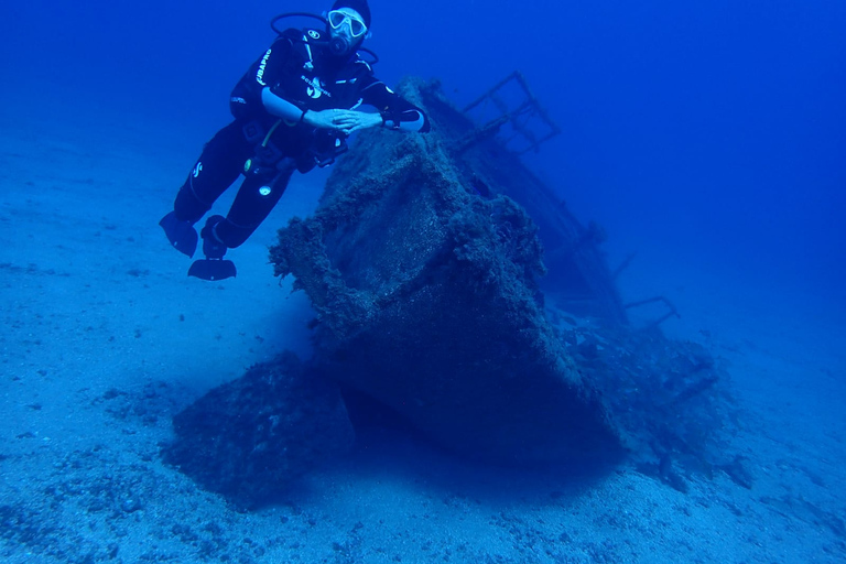 Tenerife : Inmersión Privada para Principiantes desde Embarcaciónexperiencia de buceo