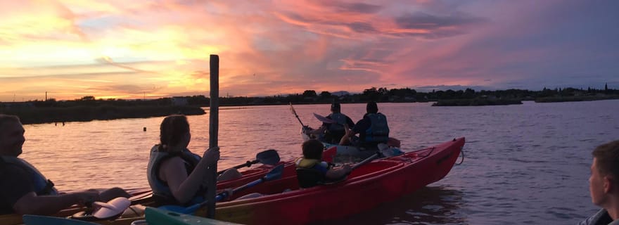Montpellier : observation des oiseaux en kayak en Camargue