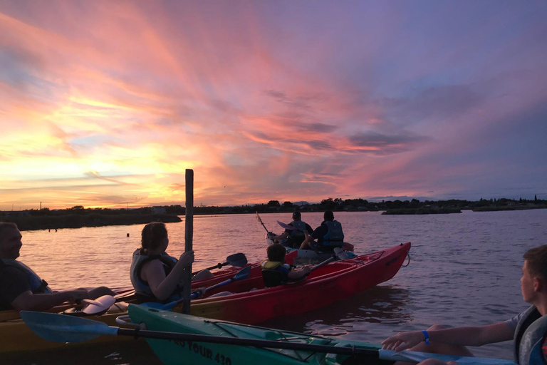Montpellier : Birdwatching by kayak in Camargue