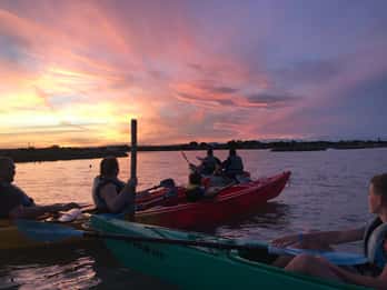 Montpellier : Observation des oiseaux en kayak en Camargue