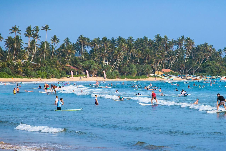All Inclusive Weligama Bay Private Surf Lesson with Transfer Galle: Weligama Bay Private Surf Lesson with Transfer