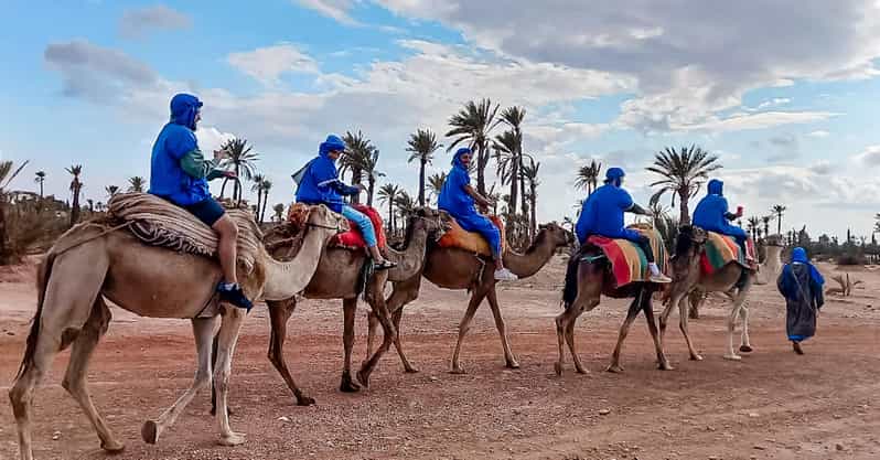 Majorelle Garden Tour & Palmeraie Camel ride | GetYourGuide