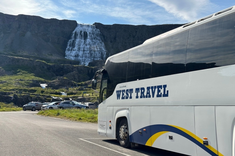 Depuis Isafjordur : Excursion guidée d'une journée en bus à la cascade de Dynjandi
