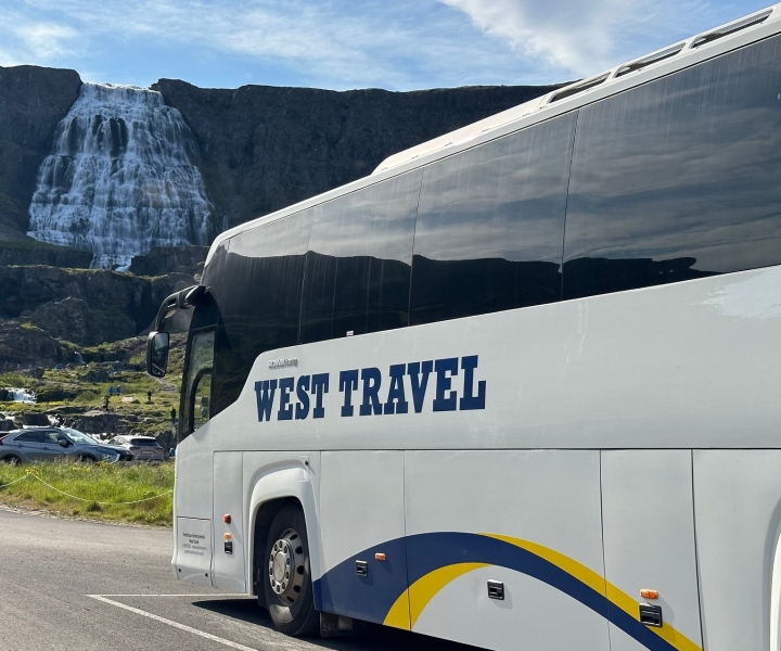 Depuis Isafjordur : Excursion guidée d'une journée en bus à la cascade de Dynjandi