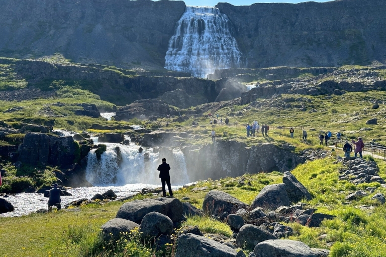 Von Isafjordur aus: Geführter Tagesausflug zum Dynjandi-Wasserfall mit dem Bus