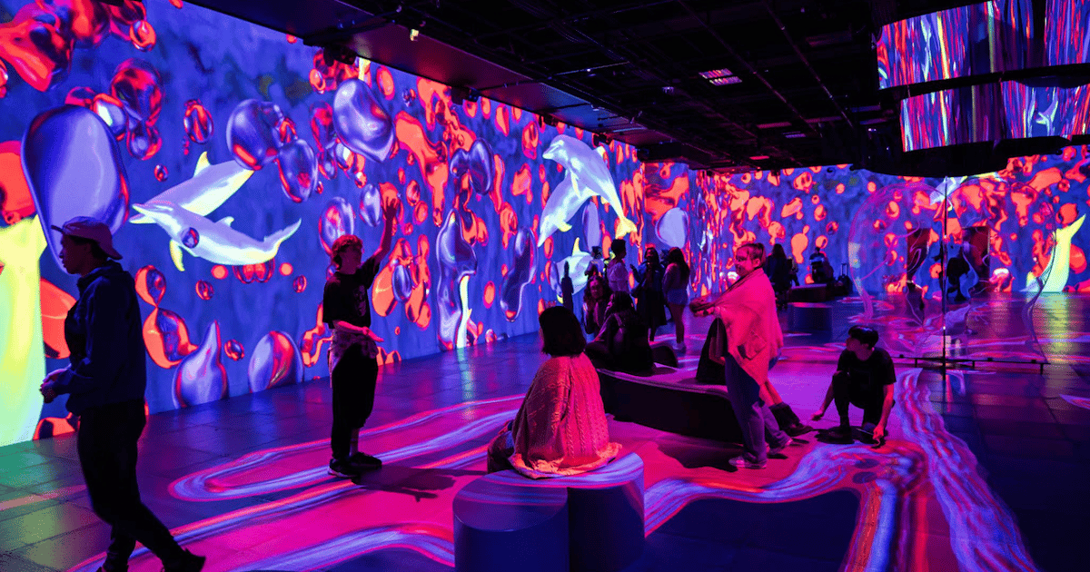 Montreal: OASIS Immersion Entry Ticket | GetYourGuide