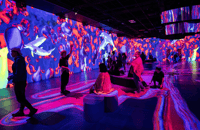 Montreal, Oasis Immersion Entry Ticket - Housity