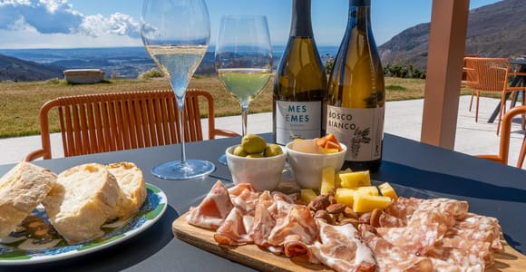 Monte Baldo: Organic Mountain Wines Tour and Tasting