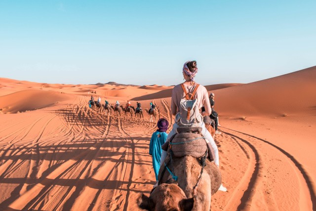 Visit Dakhla camel ride in Dakhla