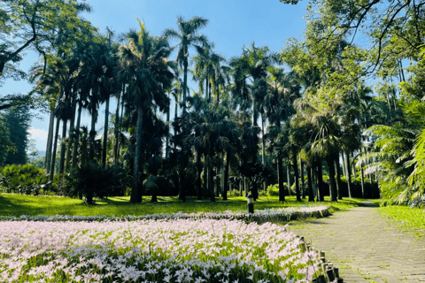 Guangzhou：South China National Botanical Garden Entry Ticket