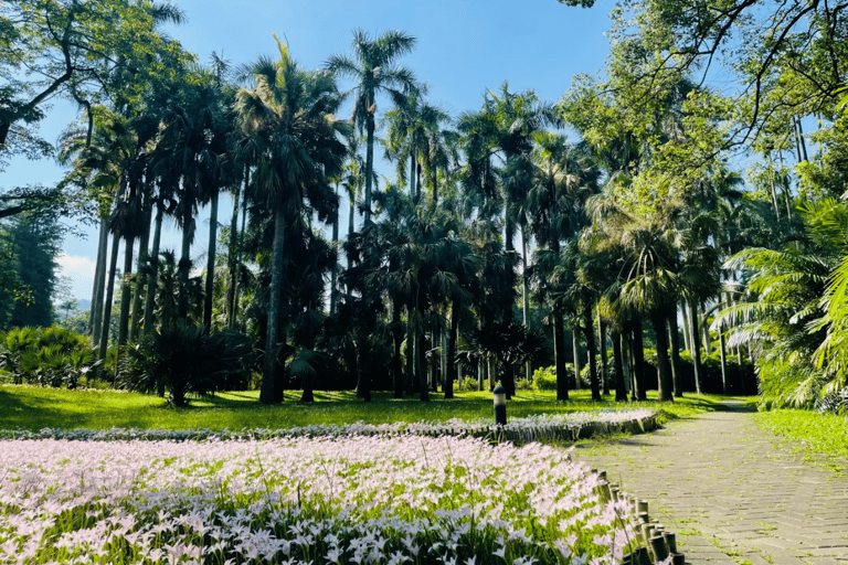 Guangzhou：South China National Botanical Garden Entry Ticket