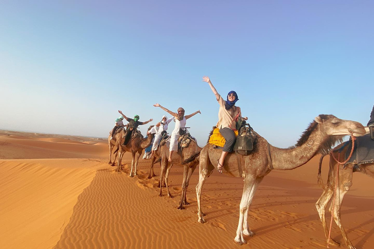 De Ouarzazate à Marrakech : Circuit de 3 jours dans le désert avec randonnée chamelièreCamp du désert standard