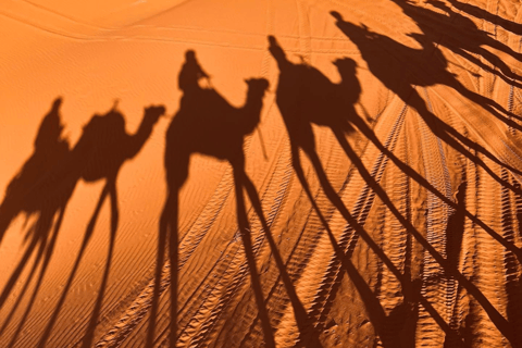 De Ouarzazate à Marrakech : Circuit de 3 jours dans le désert avec randonnée chamelièreCamp du désert standard