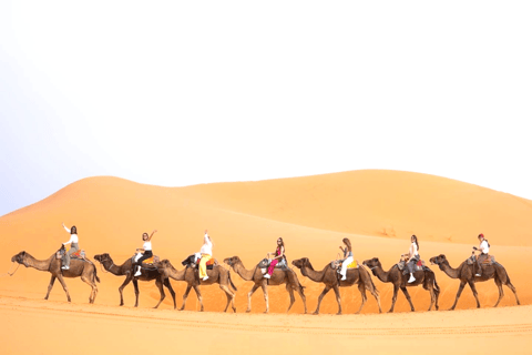 Da Ouarzazate a Marrakech: tour nel deserto di 3 giorni con Camel TrekCampo nel deserto standard