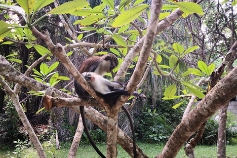 Lagos: Experience 1 Day Adventure Lagos 1 Day Adventure