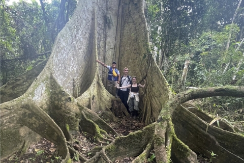 Iquitos: Amazonas Dschungel Lodge & Abenteuer 4 Tage / 3 Nächte
