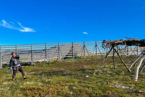 Guided Tour - Meet Reindeer in Hammerfest