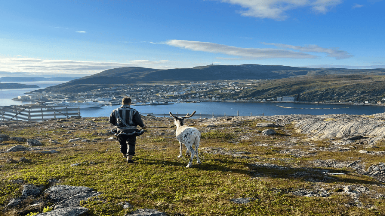 Hammerfest: Führung – Triff Rentiere