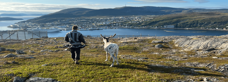 Hammerfest : visite guidée et rencontre avec les rennes