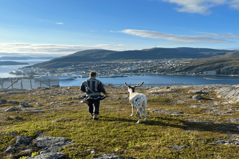 Guided Tour - Meet Reindeer in Hammerfest