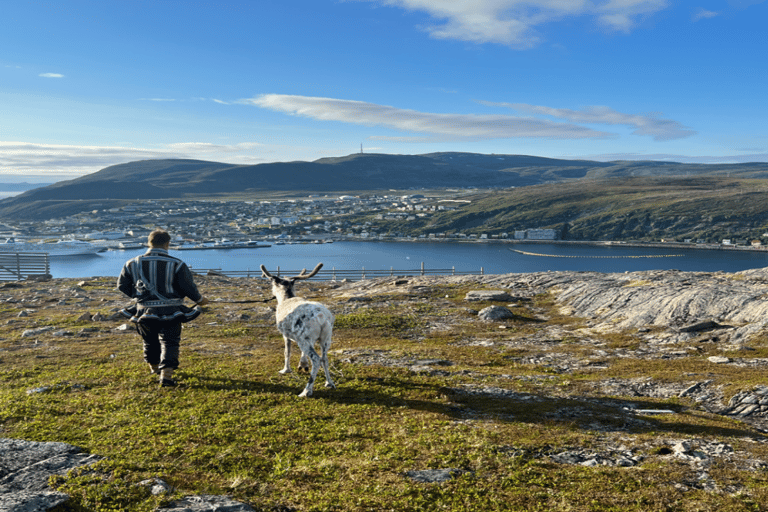 Guided Tour - Meet Reindeer in Hammerfest