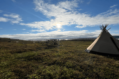 Guided Tour - Meet Reindeer in Hammerfest