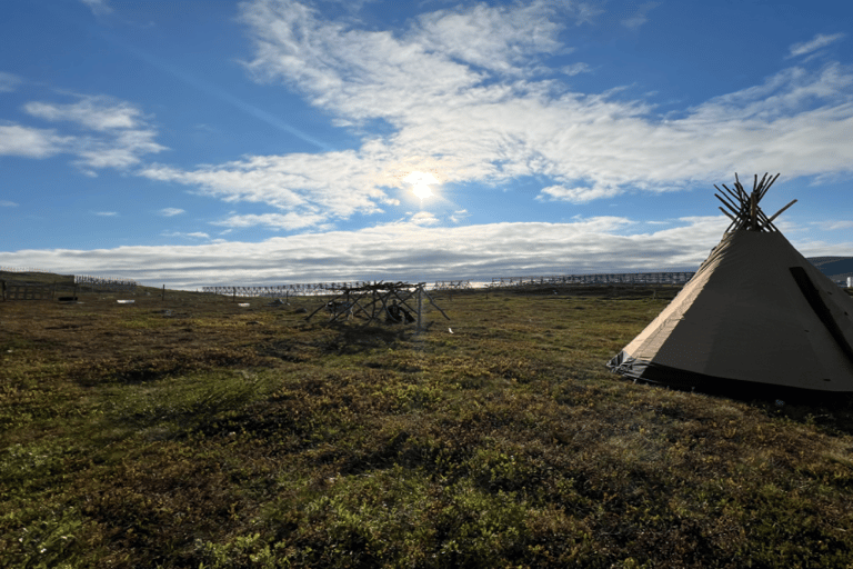 Guided Tour - Meet Reindeer in Hammerfest