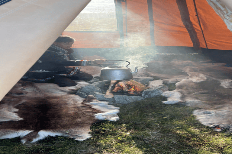 Guided Tour - Meet Reindeer in Hammerfest