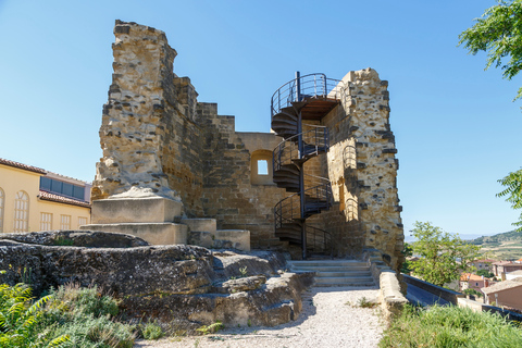 Wine and Nature Tour: Ribera del Duero and La Rioja from Madrid (3 days)