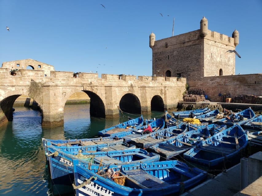 Excursión de un día completo de Marrakech a Essaouira GetYourGuide