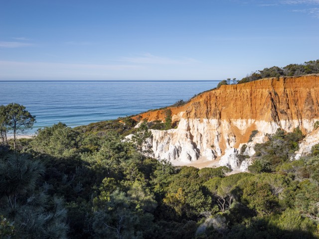 Visit 5-hour Eden Small Group Tour Beaches, Lookouts and More in Eden, Australia