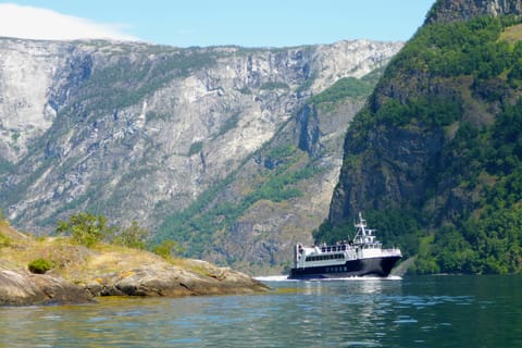 Bergen: Fjord Cruise to Sognefjord and Bøyabreen Glacier