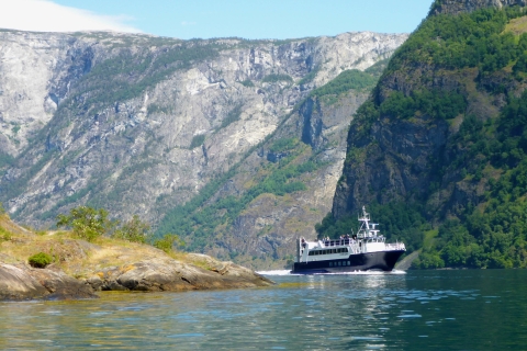 Bergen: Rejs po fiordach do Sognefjordu i lodowca Bøyabreen