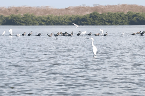 Esperienza di pesca, pesca di granchi e birdwatching a Cartagena + pranzo